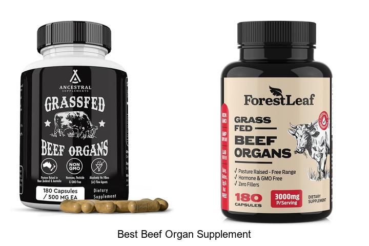 Top 12 Best Beef Organ Supplement You Can’t Miss Today