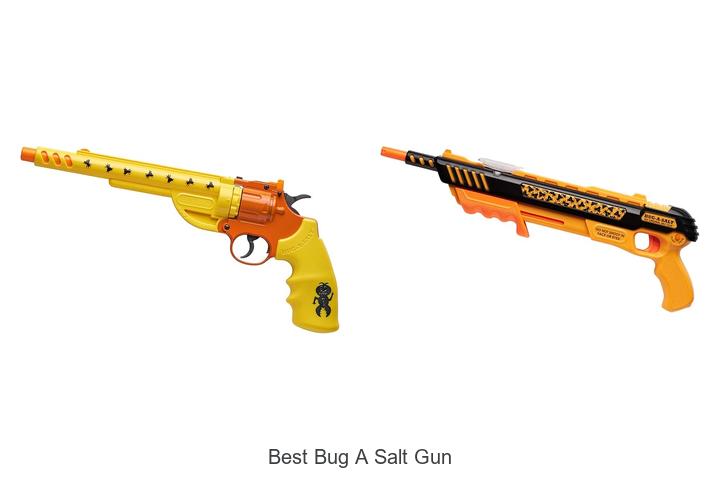 Top 12 Best Bug A Salt Gun You Can’t Miss Today!