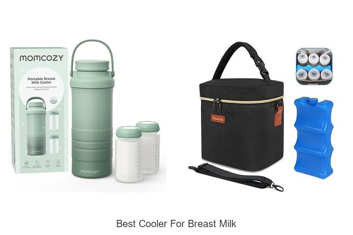 Top 12 Best Cooler For Breast Milk That Moms Swear By