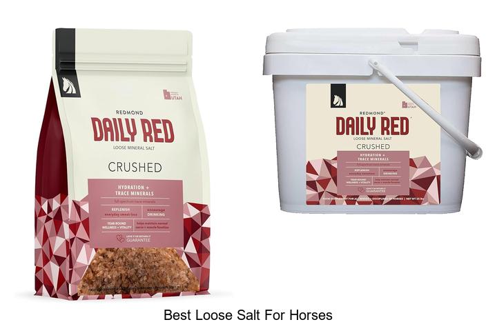 Top 12 Best Loose Salt for Horses That Boost Health Fast!