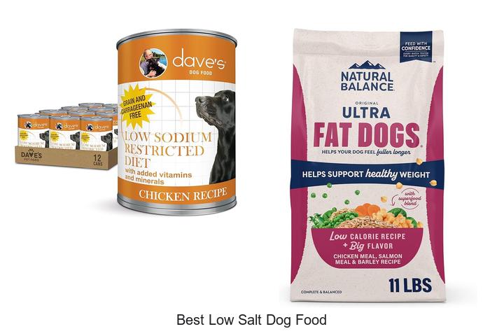 Top 12 Best Low Salt Dog Food That Vets Swear By