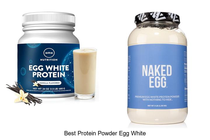 Top 12 Best Protein Powder Egg White You Can’t Miss