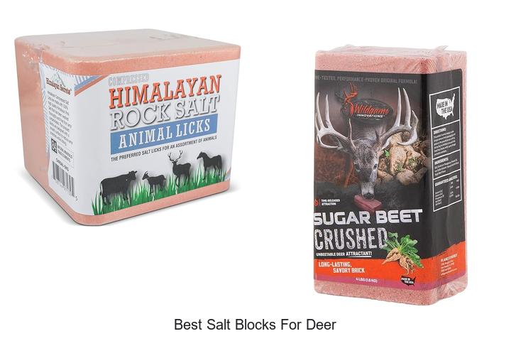 Top 12 Best Salt Blocks for Deer That Hunters Swear By