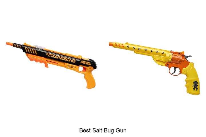 Top 12 Best Salt Bug Gun That Will Blow Your Mind