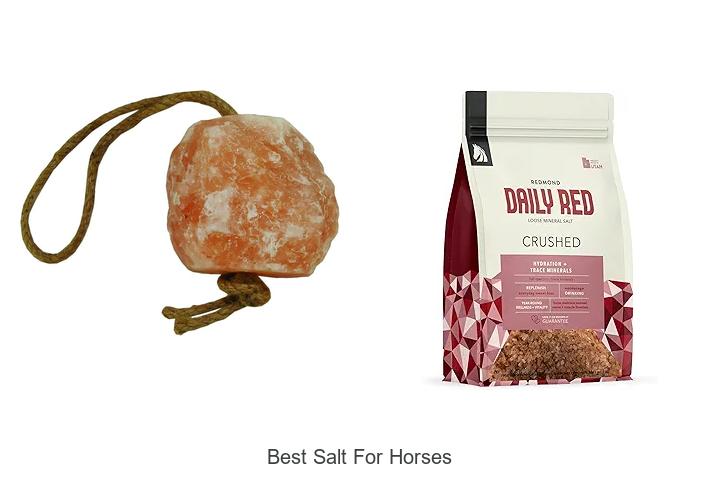 Top 12 Best Salt For Horses That Boost Health Fast