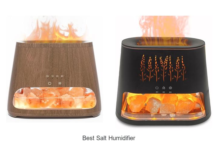 Top 12 Best Salt Humidifier That Will Transform Your Air!