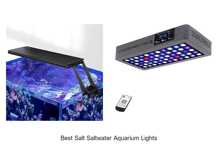 Top 12 Best Salt Saltwater Aquarium Lights You Need Now