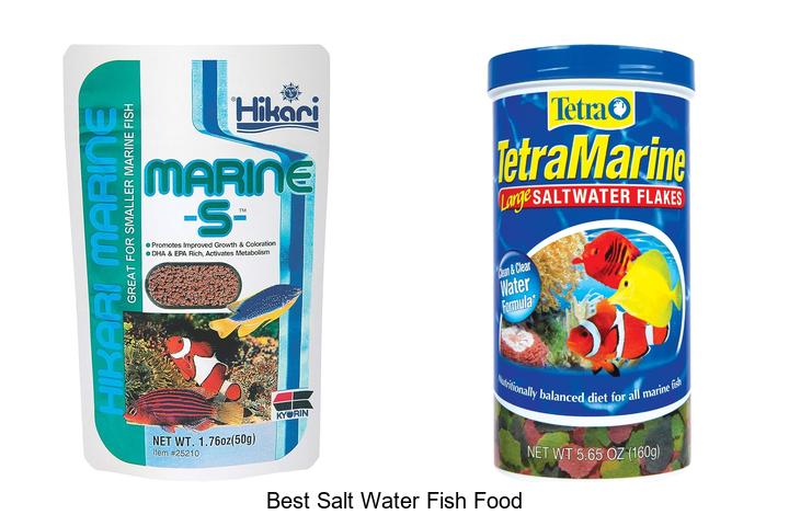 Top 12 Best Salt Water Fish Food You Can’t Miss Today
