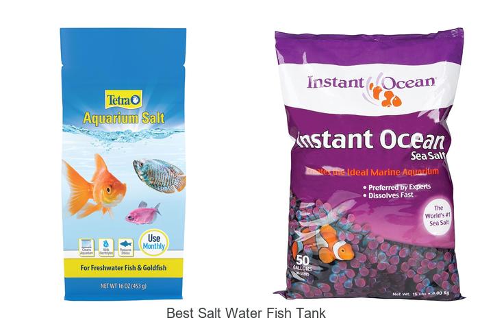 Top 12 Best Salt Water Fish Tank Hacks You Must Know