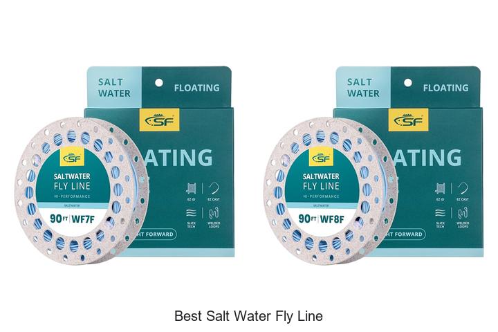Top 12 Best Salt Water Fly Line That Will Boost Your Catch