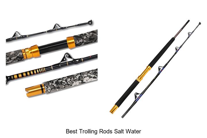 Top 12 Best Trolling Rods Salt Water Anglers Swear By!